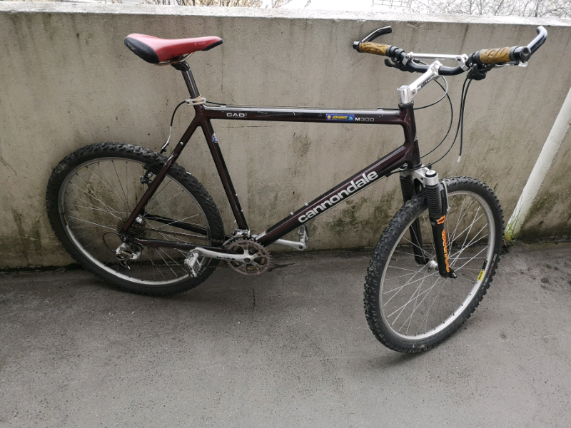 cannondale m300 cad2
